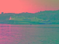 IMGP2901 edited (Medium)